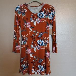 Stitch Fix Bixby Nomad Alyza Floral Swing Dress
